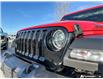 2022 Jeep Wrangler Unlimited Sport (Stk: P220518) in Grimsby - Image 8 of 25