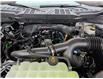 2026 Ford F-150 STX (Stk: F1460) in Miramichi - Image 13 of 13