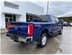 2026 Ford F-350 XLT (Stk: 26T000) in CRESTON - Image 8 of 27