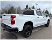 2026 Chevrolet Silverado 1500 Custom Trail Boss (Stk: TT317715) in Caledonia - Image 5 of 53