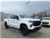2026 Chevrolet Silverado 1500 Custom Trail Boss (Stk: TT317715) in Caledonia - Image 7 of 53