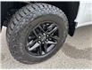 2026 Chevrolet Silverado 1500 Custom Trail Boss (Stk: TT317715) in Caledonia - Image 11 of 53