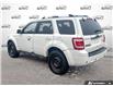 2011 Ford Escape Limited (Stk: 5B139XZ) in Oakville - Image 5 of 21