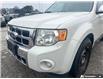 2011 Ford Escape Limited (Stk: 5B139XZ) in Oakville - Image 9 of 21