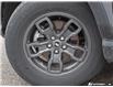 2024 Ford Bronco Sport Big Bend (Stk: 51351A) in St. Thomas - Image 6 of 27
