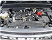 2024 Ford Bronco Sport Big Bend (Stk: 51351A) in St. Thomas - Image 8 of 27