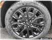 2026 Chevrolet Blazer True North (Stk: 42917) in Georgetown - Image 9 of 30
