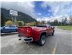 2021 Chevrolet Silverado 3500HD LT (Stk: 5T062A) in Hope - Image 5 of 13
