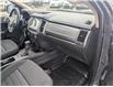 2019 Ford Ranger XLT (Stk: T-1024A) in Calgary - Image 13 of 25