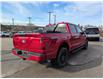2025 Ford F-150 STX (Stk: F5401) in Miramichi - Image 5 of 13
