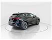2026 Lexus NX 350  (Stk: 14112492) in Markham - Image 8 of 10