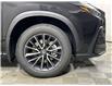 2026 Lexus NX 350  (Stk: 14112492) in Markham - Image 10 of 10
