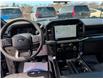 2026 Ford F-150 STX (Stk: F1462) in Miramichi - Image 12 of 13