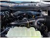 2026 Ford F-150 STX (Stk: F1462) in Miramichi - Image 13 of 13