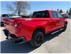 2024 Chevrolet Silverado 1500 Custom Trail Boss in Kemptville - Image 5 of 30
