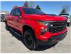 2024 Chevrolet Silverado 1500 Custom Trail Boss in Kemptville - Image 6 of 30