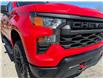 2024 Chevrolet Silverado 1500 Custom Trail Boss in Kemptville - Image 28 of 30