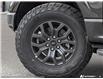 2026 Ford F-150 Tremor (Stk: TA-312) in Calgary - Image 8 of 24