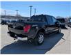 2026 Ford F-150 XLT (Stk: F1463) in Miramichi - Image 5 of 14