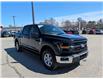 2026 Ford F-150 XLT (Stk: F1463) in Miramichi - Image 8 of 14