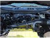 2026 Ford F-150 XLT (Stk: F1463) in Miramichi - Image 14 of 14