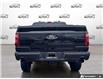 2026 Ford F-150 XLT (Stk: AFL260304) in Hamilton - Image 5 of 21