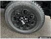 2026 Ford F-250 XLT (Stk: AFL260307) in Hamilton - Image 6 of 20