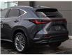 2026 Lexus NX 350h Base (Stk: NX0240) in Windsor - Image 5 of 27