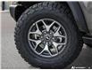 2026 Ford Bronco Badlands (Stk: TA-459) in Calgary - Image 7 of 25