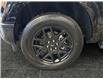 2026 Ford F-150 STX (Stk: T0001) in ROSETOWN - Image 17 of 17