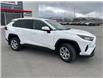 2025 Toyota RAV4 LE (Stk: C504406K) in Cranbrook - Image 7 of 19
