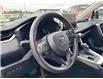 2025 Toyota RAV4 LE (Stk: C504406K) in Cranbrook - Image 9 of 19