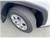 2025 Toyota RAV4 LE (Stk: C504406K) in Cranbrook - Image 19 of 19
