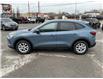 2025 Ford Escape Active (Stk: 260324) in Kingston - Image 6 of 35