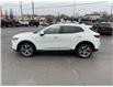 2023 Buick Envision Essence (Stk: 260391) in Kingston - Image 6 of 32