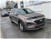 2020 Hyundai Santa Fe  (Stk: 260438) in Ottawa - Image 1 of 15