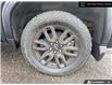 2024 GMC Sierra 1500 Elevation (Stk: AM6358) in Thunder Bay - Image 6 of 24