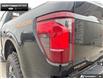 2026 Ford F-150 Tremor (Stk: 6F175782) in Brantford - Image 10 of 24