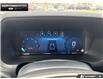 2026 Ford F-150 Tremor (Stk: 6F175782) in Brantford - Image 14 of 24