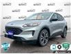 2021 Ford Escape SE (Stk: 26C26A) in Tillsonburg - Image 1 of 25