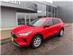 2024 Ford Escape Active (Stk: 24812) in Pembroke - Image 4 of 30