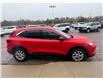 2024 Ford Escape Active (Stk: 24812) in Pembroke - Image 10 of 30