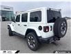 2023 Jeep Wrangler Sahara (Stk: 6150Y) in Tecumseh - Image 10 of 24