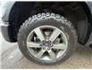 2015 Ford F-150 Lariat (Stk: T1007XZ) in Oakville - Image 7 of 18