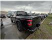 2023 Nissan Frontier PRO-4X (Stk: T1006) in Oakville - Image 8 of 14