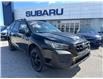 2024 Subaru Outback Wilderness (Stk: P2229) in Newmarket - Image 1 of 17