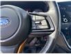 2024 Subaru Outback Wilderness (Stk: P2210) in Newmarket - Image 17 of 18