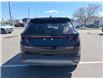 2025 Hyundai Tucson Hybrid Ultimate (Stk: 35880A) in Scarborough - Image 4 of 20