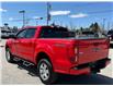 2022 Ford Ranger XLT (Stk: W9448) in Uxbridge - Image 4 of 19