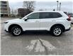 2025 Honda CR-V LX (Stk: 262696P) in Richmond Hill - Image 10 of 13